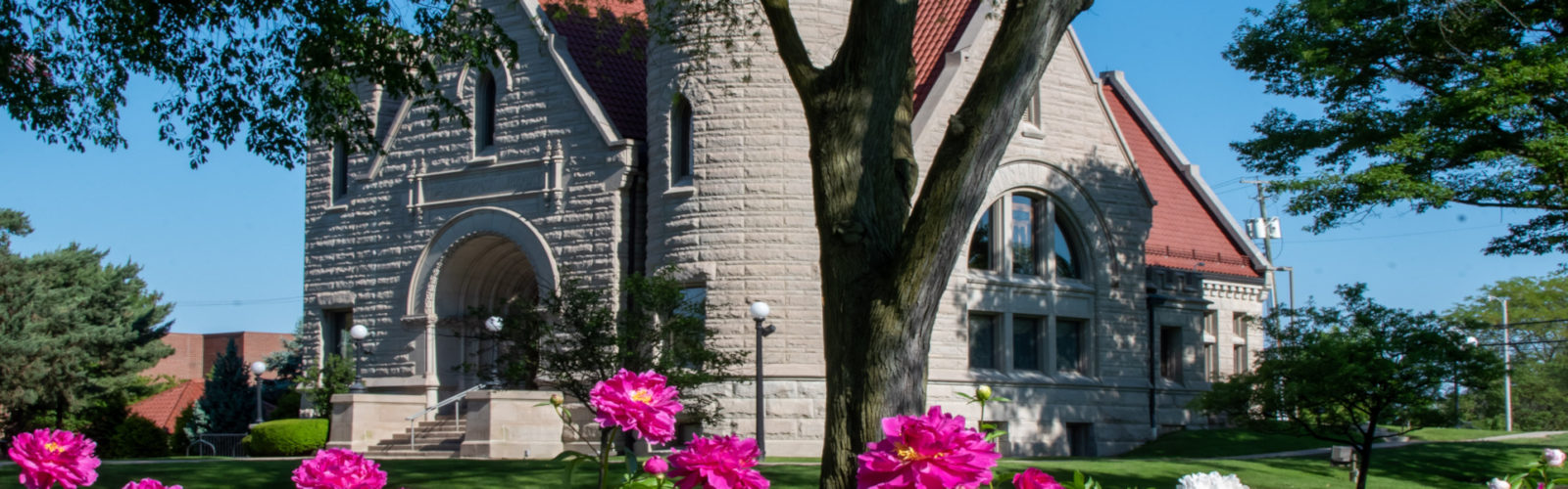 Brumback Library Summer Peonys