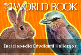 image of bunny and bird - "world book - encyclopedia estudiantil Hallazgas"